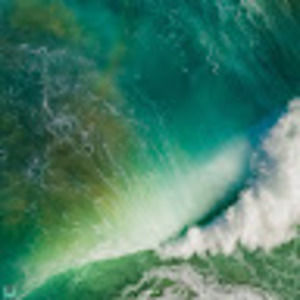 Meet your Posher, Steve